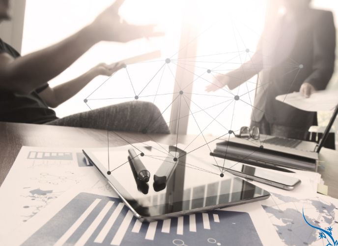 Strategic software consulting session