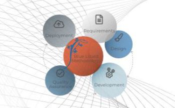 Custom software methodology planning and workflow